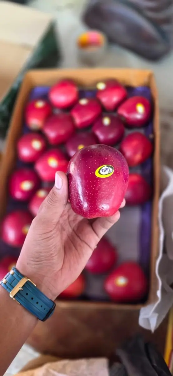 Gala Apple