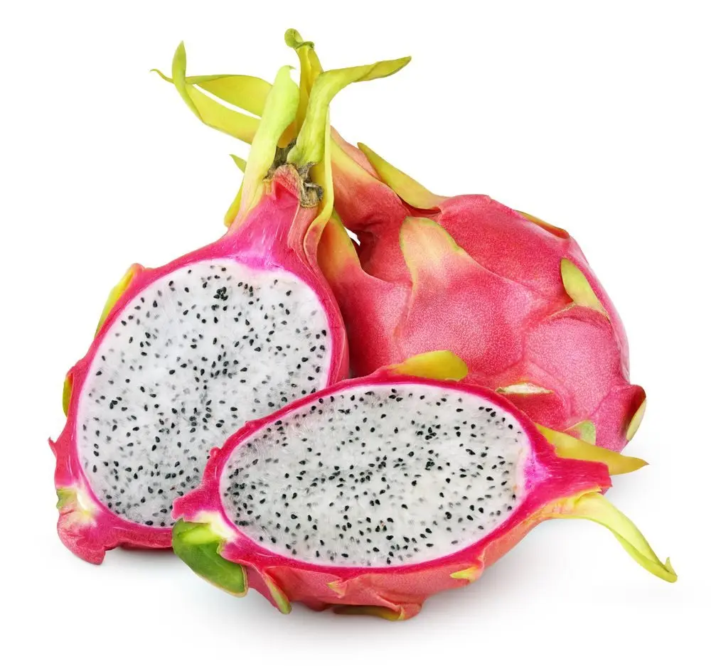 Dragon Fruit ( White )