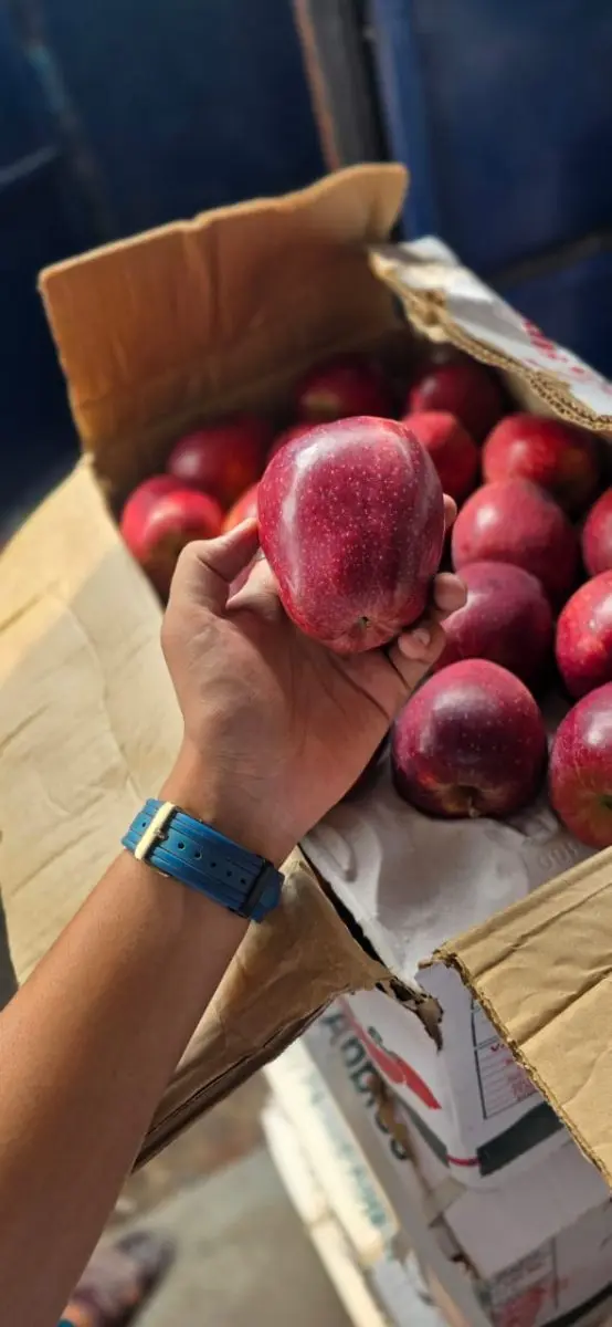 Indian Apple- Kinnaur chango